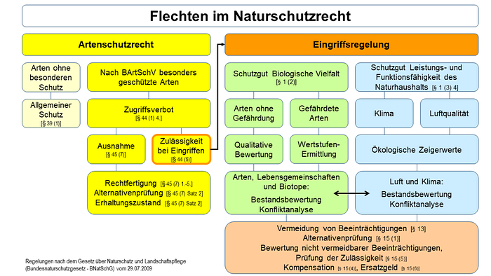 Schema Flechten im Naturschutz Schema Flechten im Naturschutz