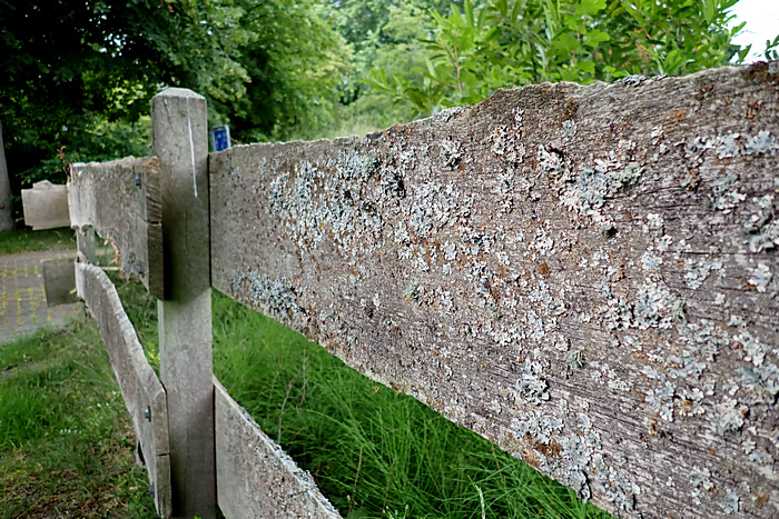 Holzzaun in Dreibergen Holzzaun in Dreibergen