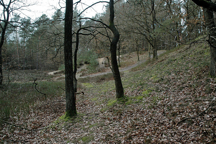 Naturschutzgebiet Hollesand Landkreis Leer Naturschutzgebiet Hollesand Landkreis Leer