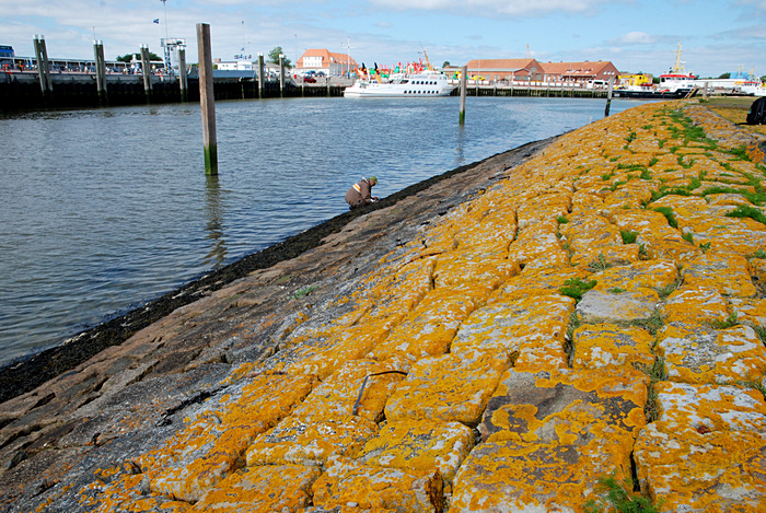 Altes Deckwerk an der Hafeneinfahrt Norderney Altes Deckwerk an der Hafeneinfahrt Norderney